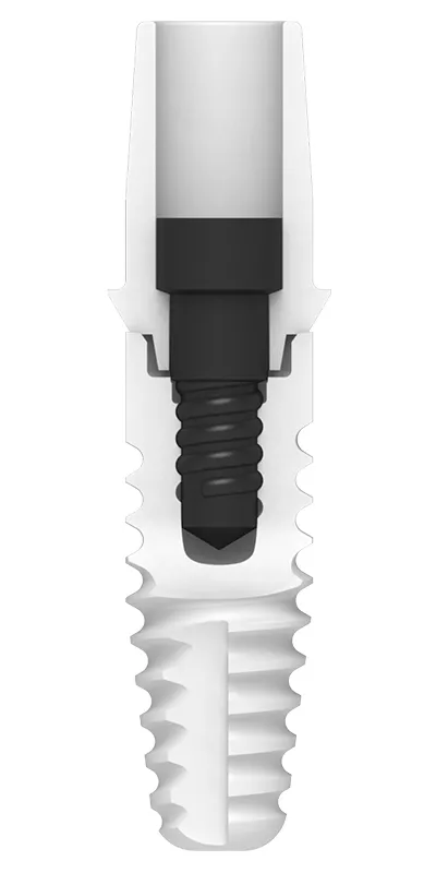 Vue en coupe de l’implant céramique ZERAMEX XT et de sa vis interne.